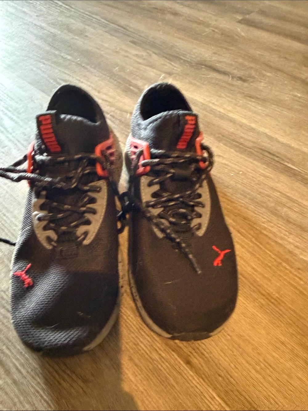 Puma young boys Black Athletic Sneakers with Red Accents